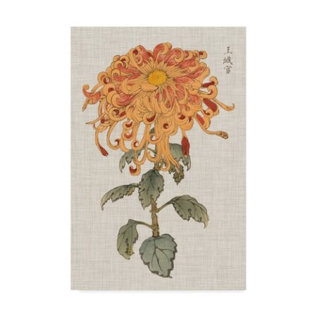 Trademark Fine Art Vision Studio 'Ua Ch Vibrant Mums I' Canvas Art, 16x24 WAG07902-C1624GG